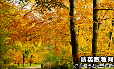 最经典的《只是蝴蝶不愿意》小说摘抄