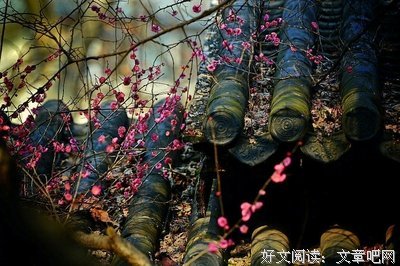 最全的《山河只为你喧嚣》小说句子