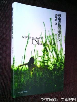 《梦里花落知多少》小说书摘大全