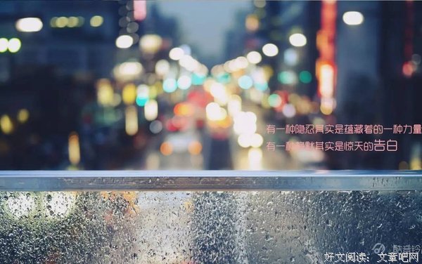 关于体分的唯美语录