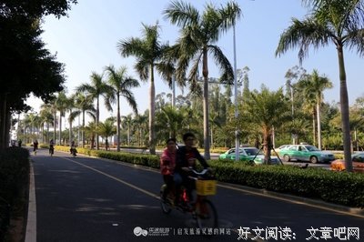 路非语录