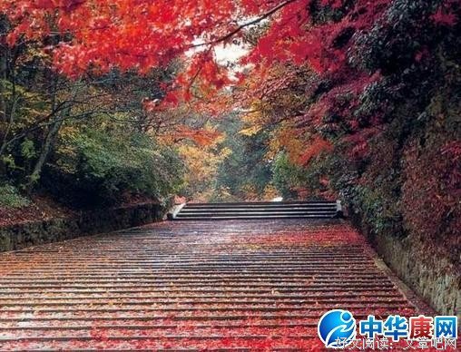 深秋坐看雨夜经典的句子