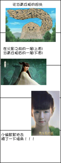 关于小狐濡尾名言大全