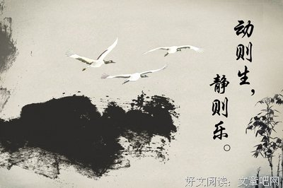 忆之殇乐名言
