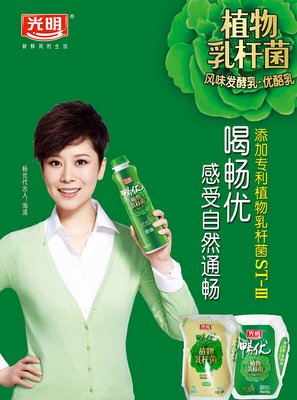 忧鬱肠子的名言