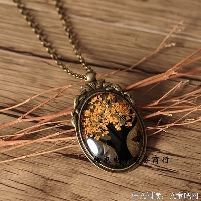 最全的《无念——永生之花》经典的句子