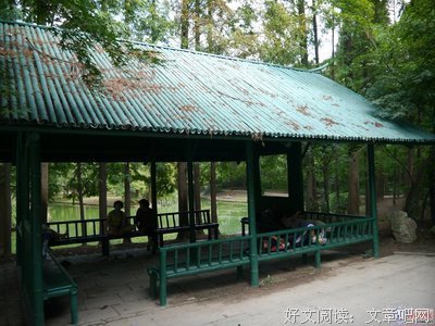 何她说·思考：听说疲惫的成年人，都想要告别都市