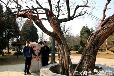 最经典的《你若安好 便是晴天》佳句摘抄