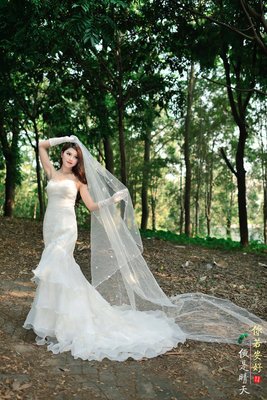 最全的《你若安好，便是晴天》语录摘抄大全