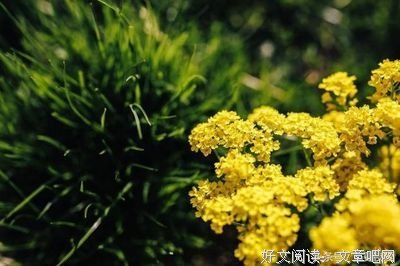 随意经典的句子
