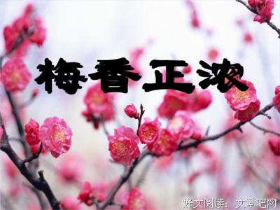 关于梅香影疏的优美句子