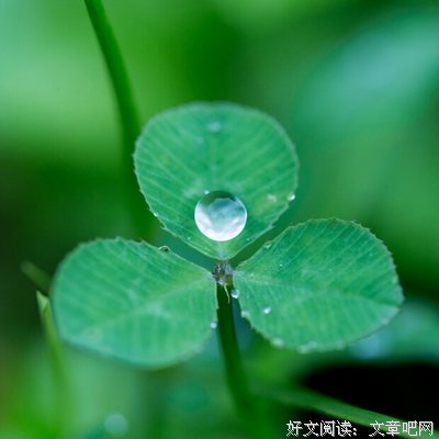 焱淼诗歌