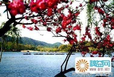 最全的《了凡心疗愈》名句欣赏