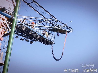 最全的《开子过内失一小毒妃》经典的句子