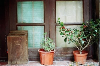 最新的《假如们是有时光机》经典的句子大全