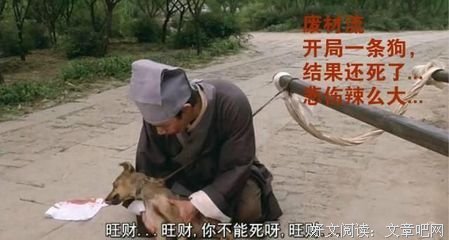 最全的《雅骚》经典语句
