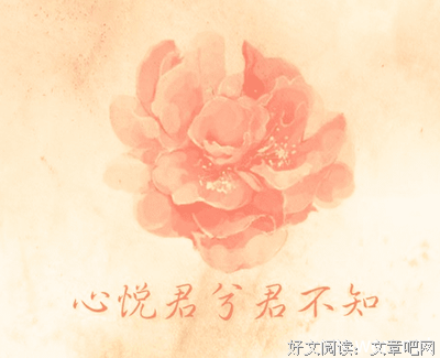 最经典的《是爱情吧》经典句子