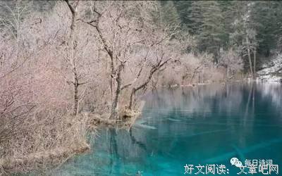 关于张幼仪名言名句