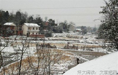 关于烘烘的名言