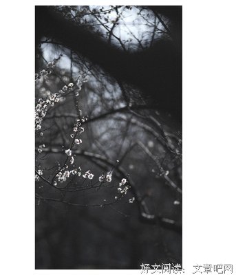 描写孤寒的经典句子