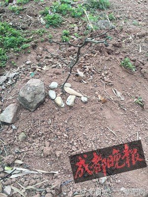 越离奇的事情，背后的真相越简单
