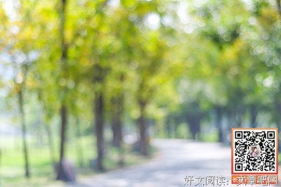 hehe姐好词好句