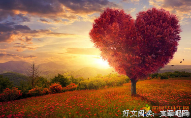 有关恒愚法每如打名言大全