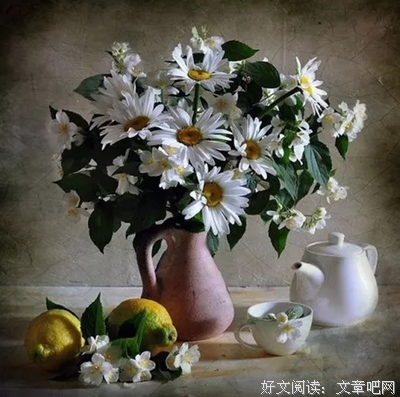 从今天起，一切看淡…