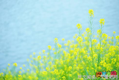 最新的《一银币一磅的恶魔》名句欣赏大全