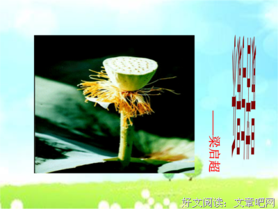 最全的《孤独的迷宫》经典名句