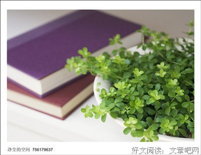 最经典的《隋广义》好段摘抄