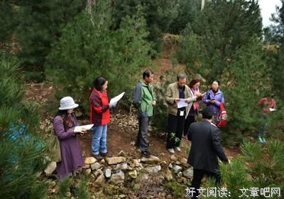 15条关于当千的经典语句