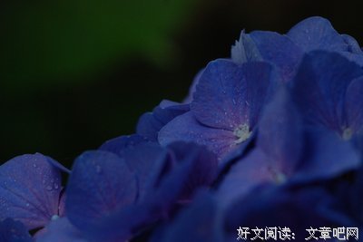 关于耽溺的语句