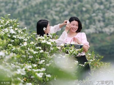 关于夏花般的名言