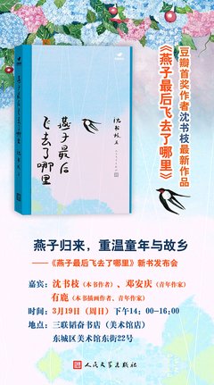 回到家乡的第307天，聊聊我的规划