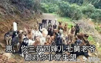 你说经典的句子