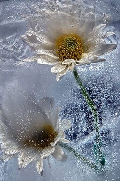 流年句子大全
