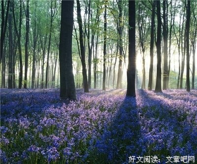 心灵美语