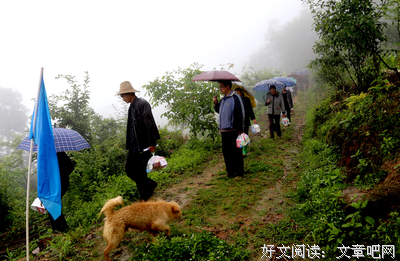 关于木瓜汪名句欣赏