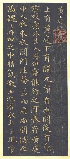 关于栖见经典语录