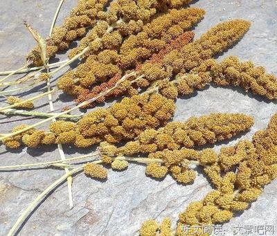 最全的邹謇的名言