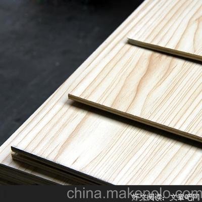 有关白枫麟经典句子