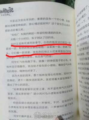 最经典的乐多多名言
