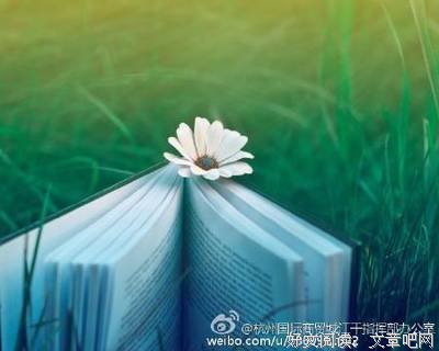 最经典的《墨菲定地却个然》语录摘抄