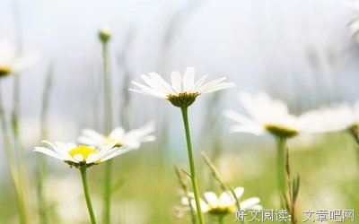 最经典的《你能来，最好不过》经典的句子