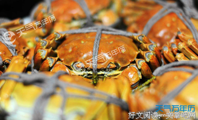 最全的《谁是谁的太阳》美文美句大全