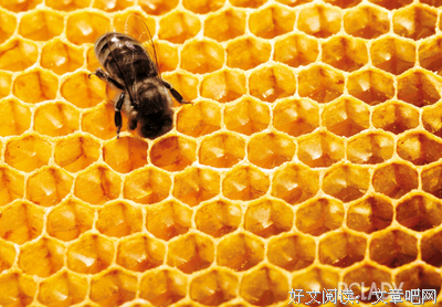 最经典的《疯狂修复》好段摘抄