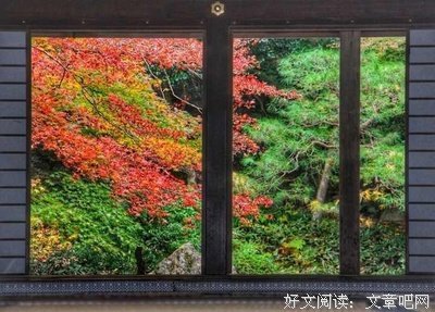 最新的《一座城，在等你》经典的句子