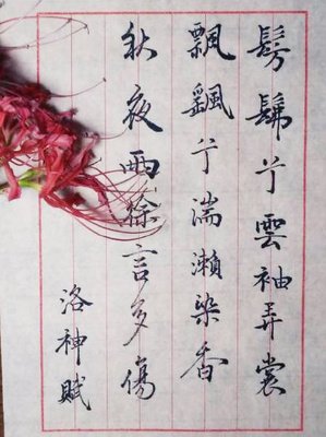 最全的《旧梦1913》经典句子