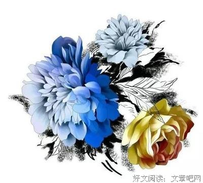 最经典的《信》佳句摘抄